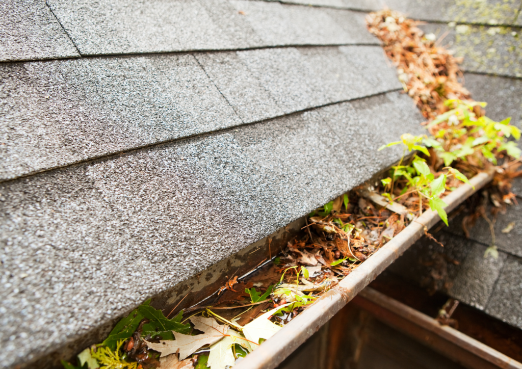 Roof gutter that clogged because of falling leaves